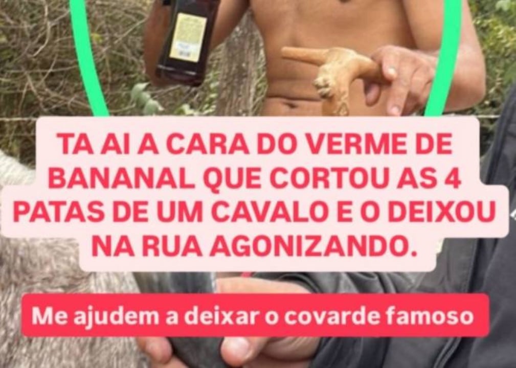 homem corta 4 patas de cavalo