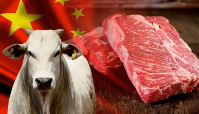 7-Rural-Exportacao-cota-China
