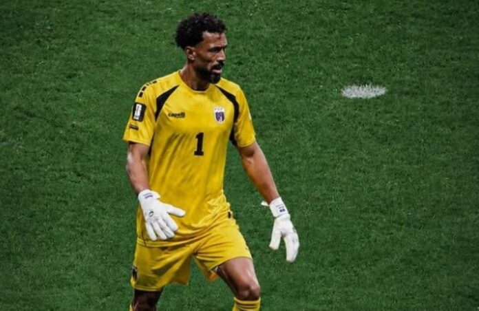 Goleiro-Vozinha