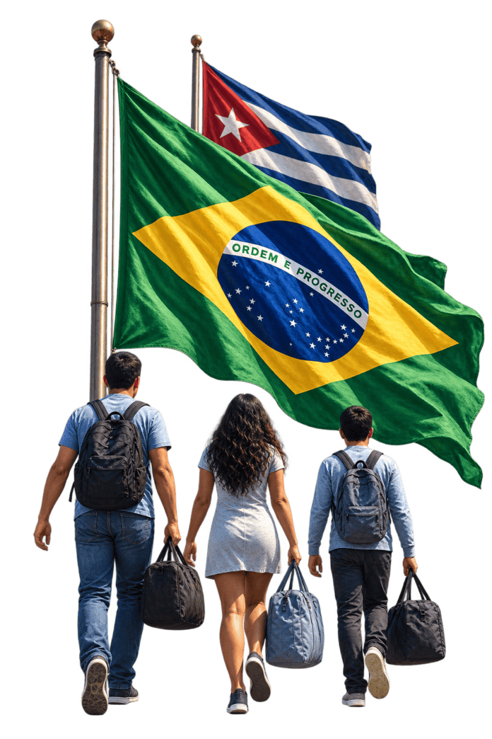 5-ILUSTRACAO